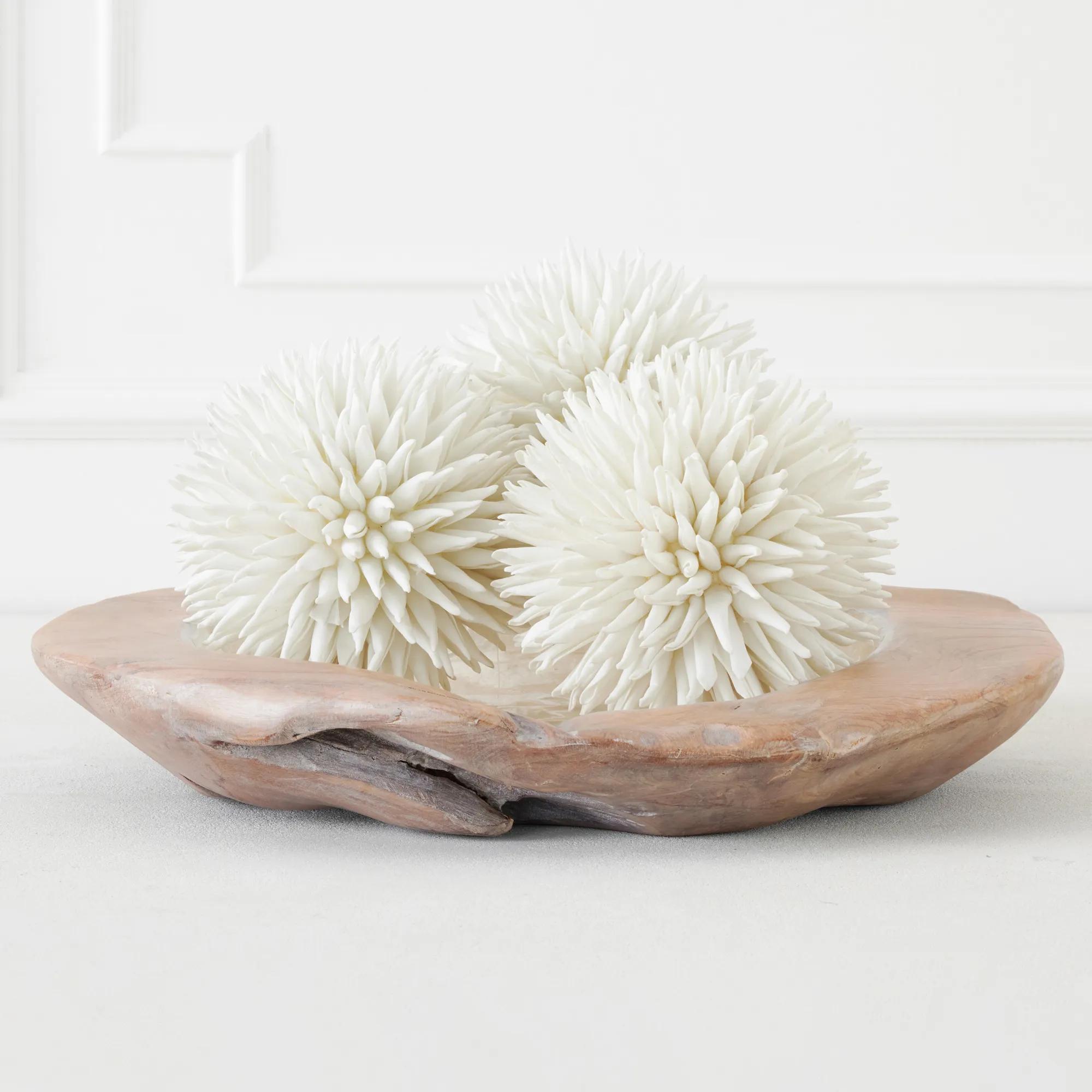 ［新品］SLOTHREAT Allium Allium_lusitanicum_01__69703.