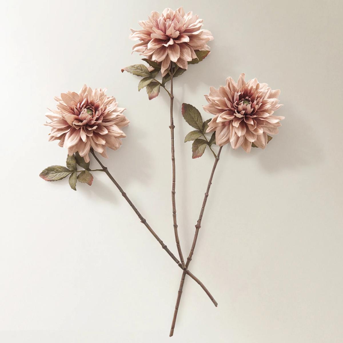 Dusty Blush Dahlia 39" - Set of 3