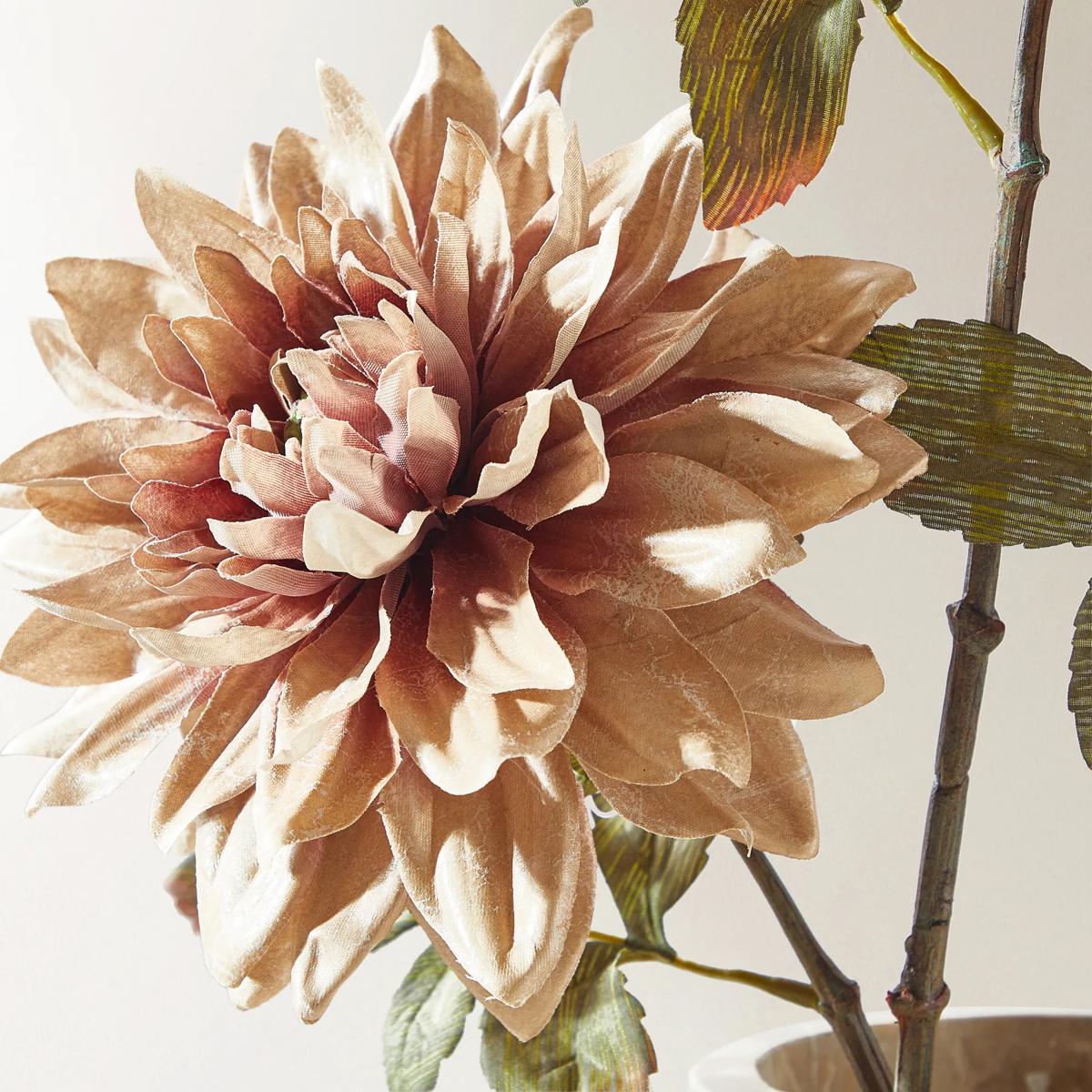 Dusty Blush Dahlia 39" - Set of 3
