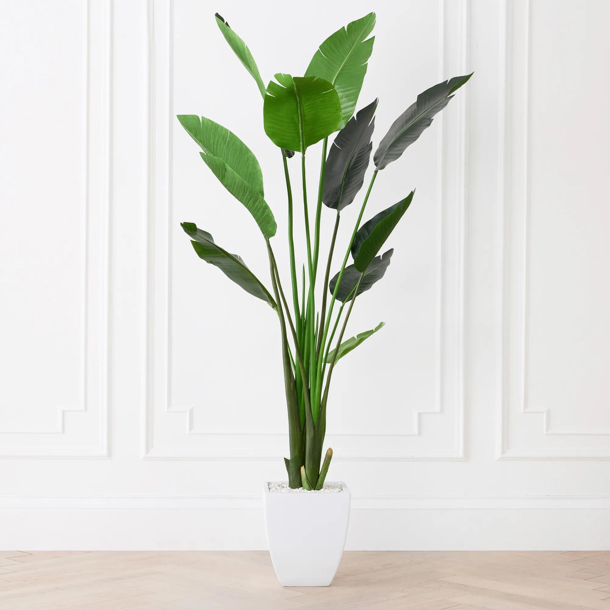 Tall Decorative Trees For Living Spaces