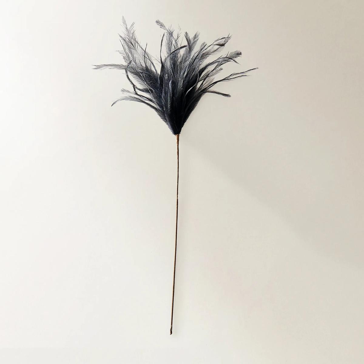 Black Feather Pick 23.5" - Set of 3