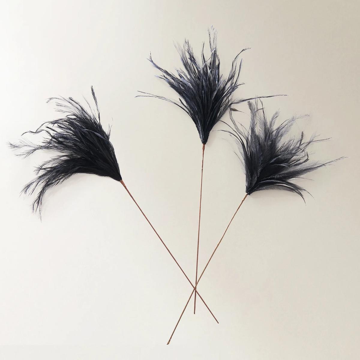 Black Feather Pick 23.5" - Set of 3