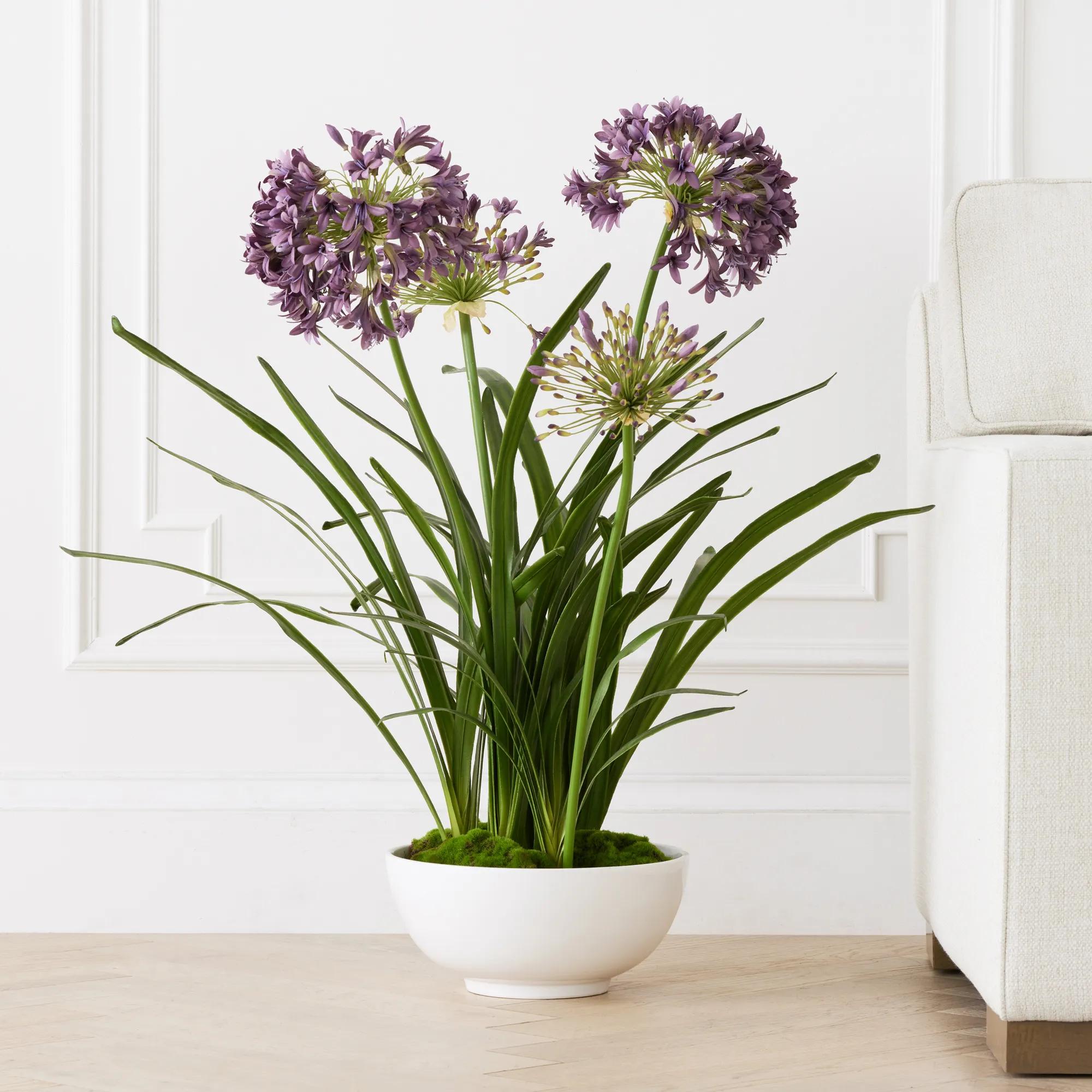 flower♡ Floral | Z Gallerie