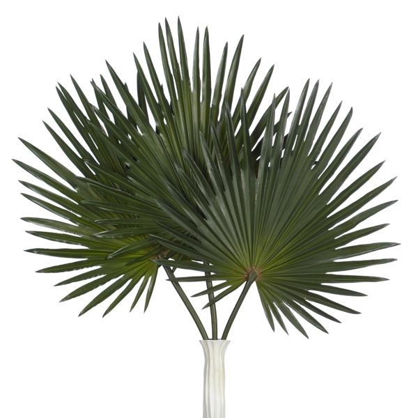 Faux Palm Stem - Set of 3