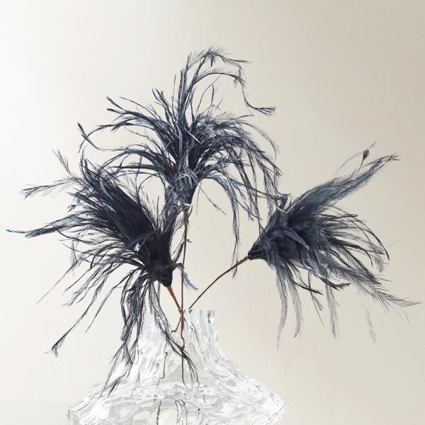 Black Feather Pick 23.5" - Set of 3