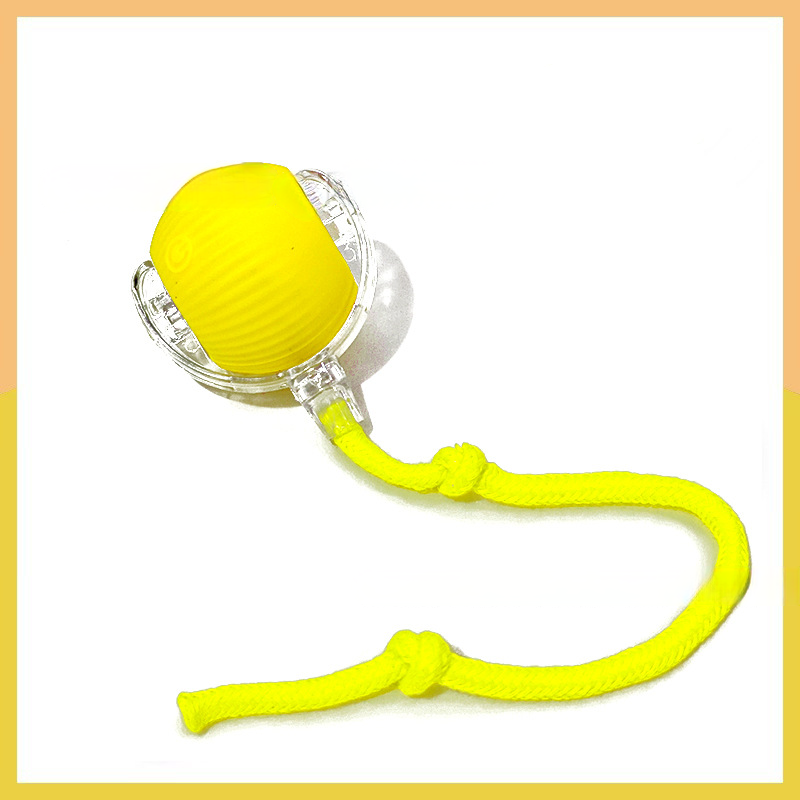 Smart Interactive Pet Toy Ball