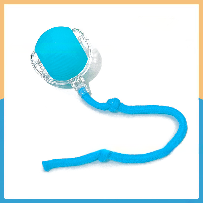 Smart Interactive Pet Toy Ball