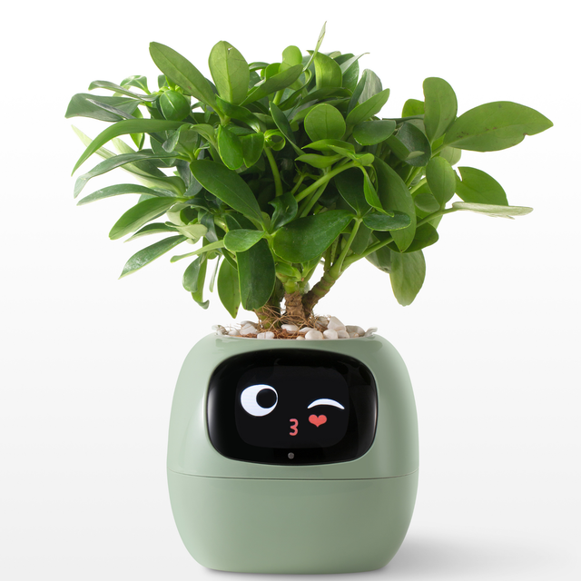  Smart Planter for Indoor Plants and Home Gardens with Fun Gardening Control, Compatible with Smart Home Devices