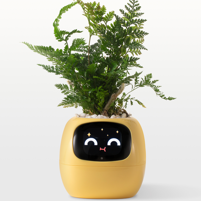  Smart Planter for Indoor Plants and Home Gardens with Fun Gardening Control, Compatible with Smart Home Devices