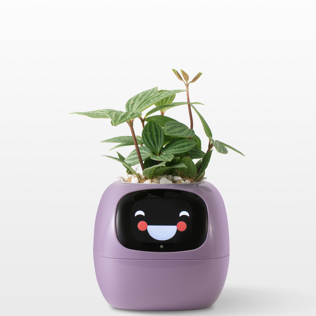  Smart Planter for Indoor Plants and Home Gardens with Fun Gardening Control, Compatible with Smart Home Devices