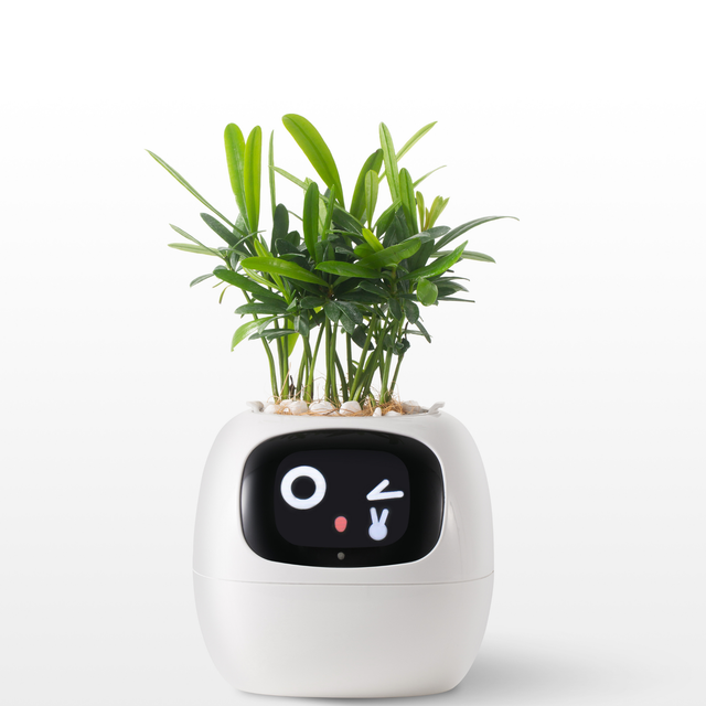  Smart Planter for Indoor Plants and Home Gardens with Fun Gardening Control, Compatible with Smart Home Devices