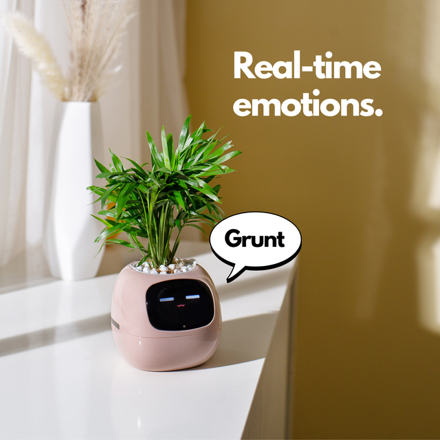  Smart Planter for Indoor Plants and Home Gardens with Fun Gardening Control, Compatible with Smart Home Devices