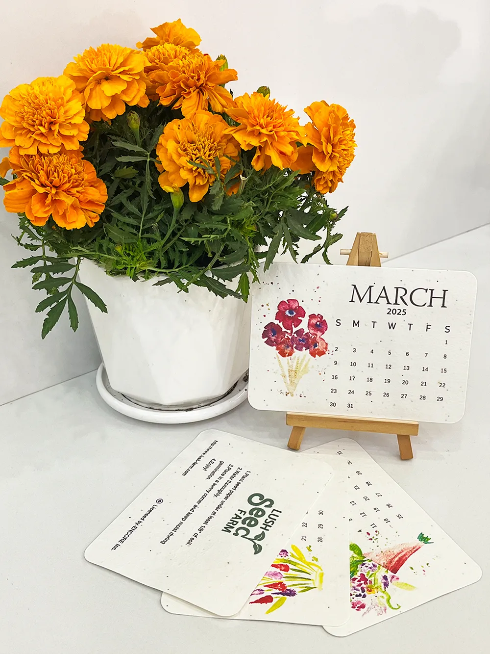 2025 Eco-Friendly Plantable Seed Calendar