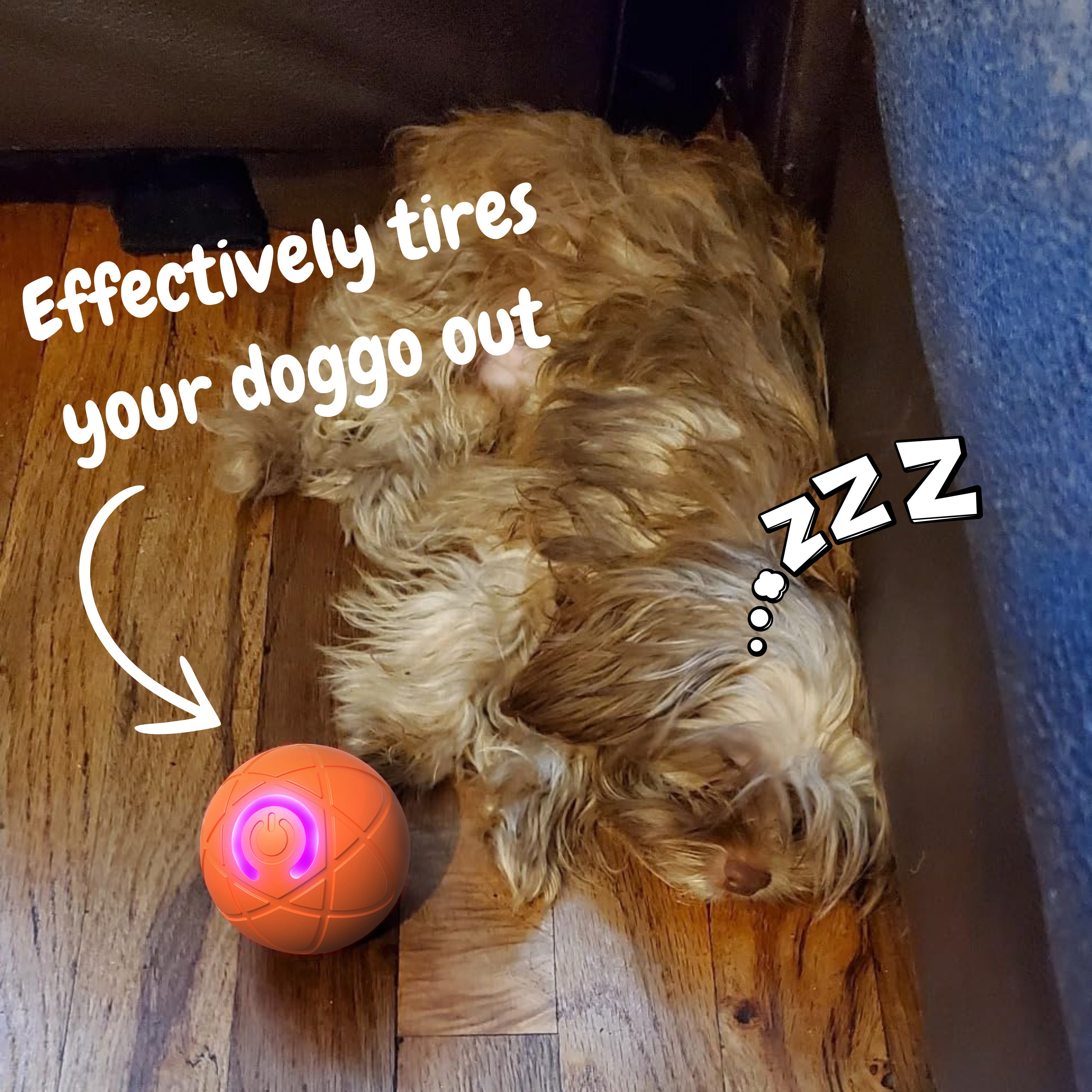 ✨2025 New Release - 50% Off - Pet Bounce Ball for Dogs🐶 & Cats🐱