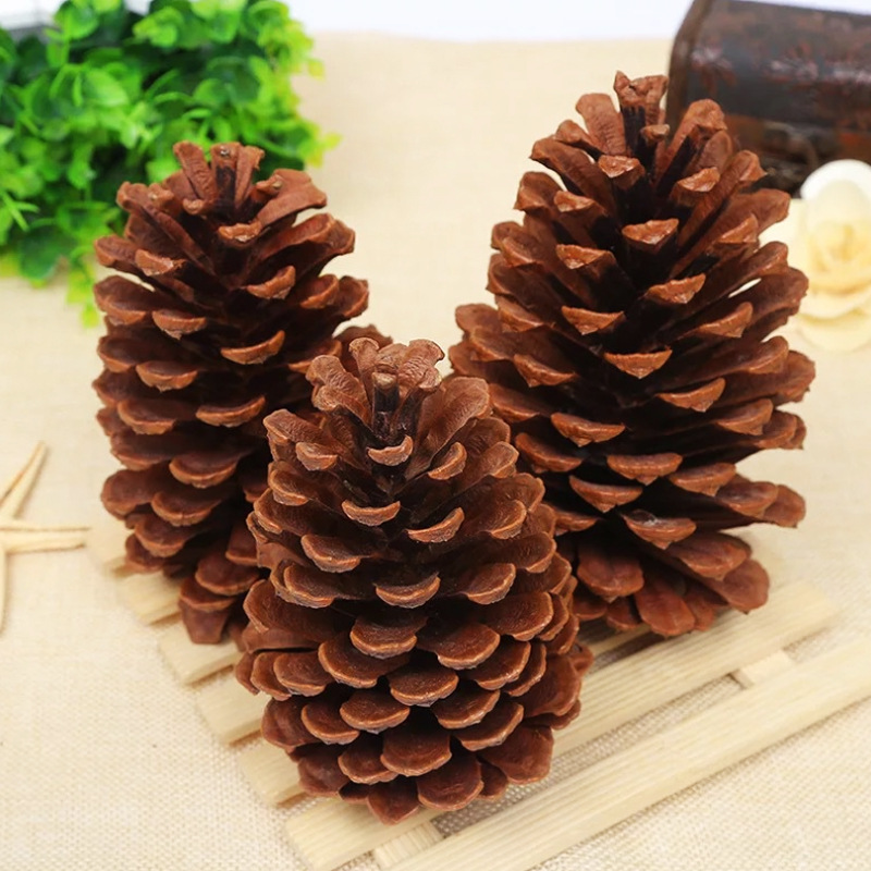 🔥Only $7.99🔥The Best Holiday Greenery - Realistic Norfolk Pine Stems