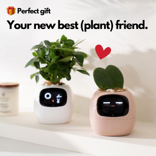  Smart Planter for Indoor Plants and Home Gardens with Fun Gardening Control, Compatible with Smart Home Devices