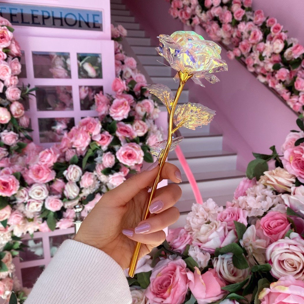 24K Golden Galaxy Rose