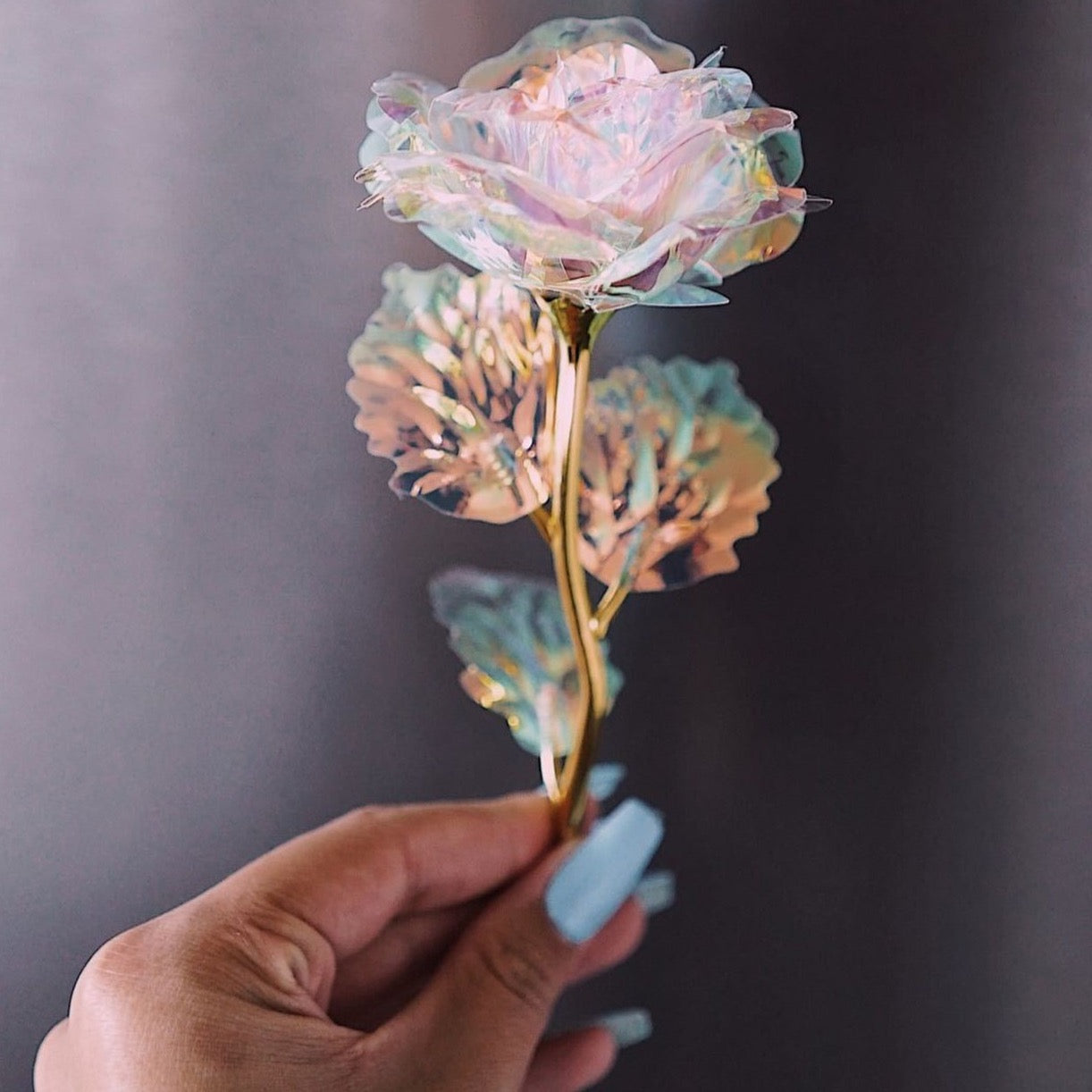 24K Golden Galaxy Rose