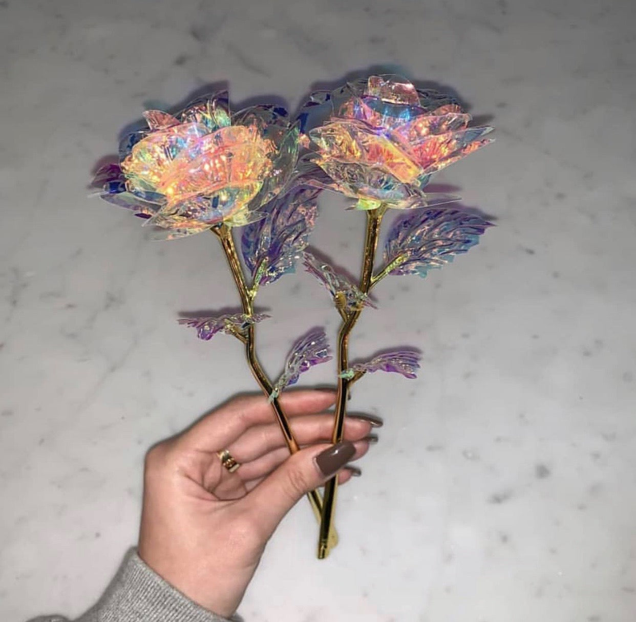 24K Golden Galaxy Rose