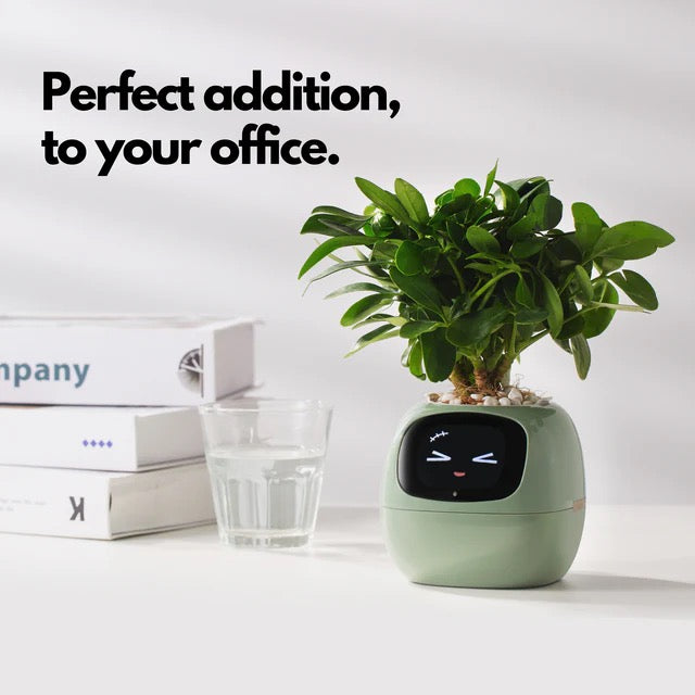  Smart Planter for Indoor Plants and Home Gardens with Fun Gardening Control, Compatible with Smart Home Devices