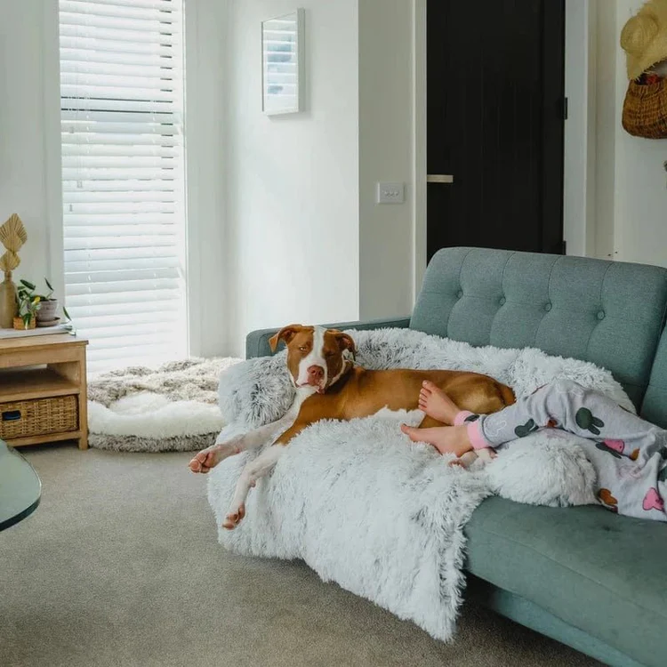 Original Calming Furniture Protector