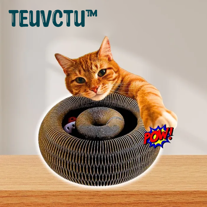 Cat Scratching Board Magnetic Cat Toy With Bell