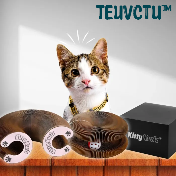 Cat Scratching Board Magnetic Cat Toy With Bell