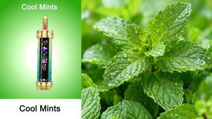 auf Lager  70K E-Hookah Einweg Vape in DTL Mode mit Full Display zeigen Battreien & Lquid infos