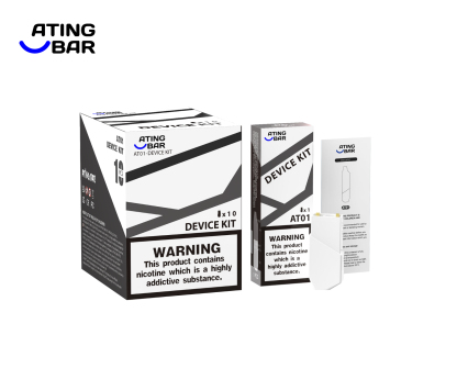 ATINGBAR AT01 PREFILLABLE POD SYSTEM BASIS BATTEREIN