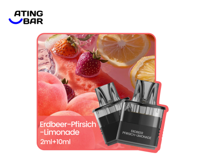 ATINGBAR E9 2+10 PREFILLABLE POD 