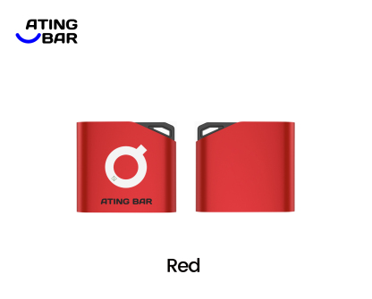 ATINGBAR F01 PREFILLABLE POD SYSTEM BASIS BATTEREIN