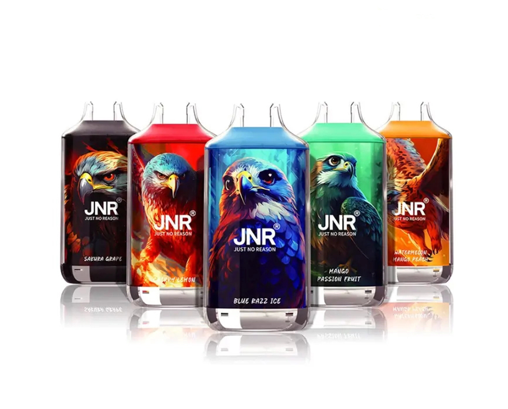 auf Lager (CN) JNR Falcon 16K Einweg Vape in transparenz Hülle