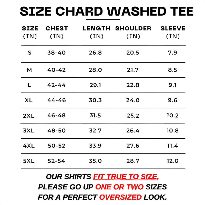 Retro Alpinestar Kawasaki Ninja Racing Washed T-Shirt AGV Helmets 