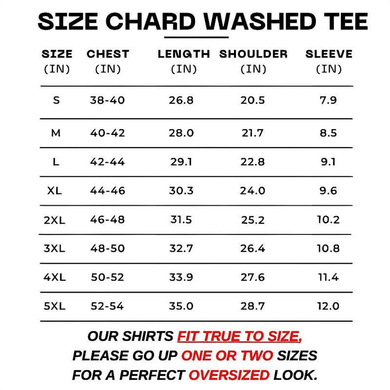 Retro Red Alpinestars Racing Washed T-Shirt 