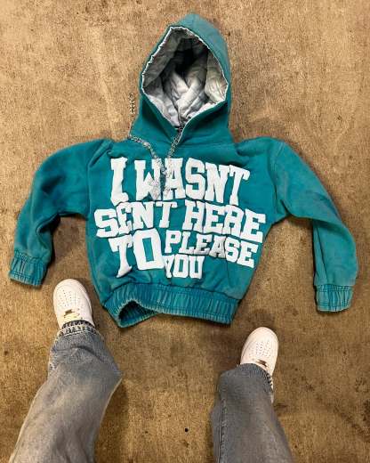 Was't here to please you hoodie