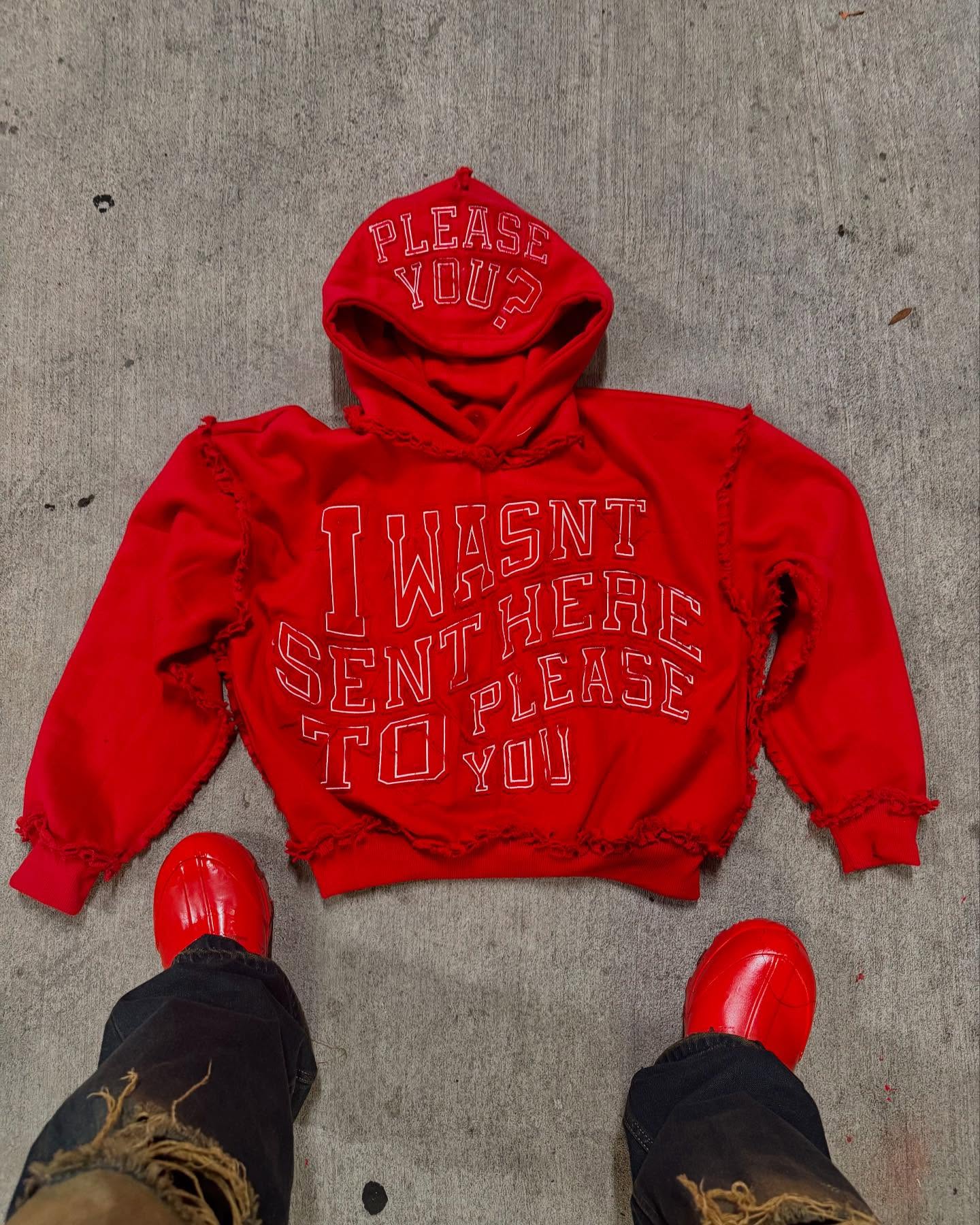 Was't here to please you hoodie