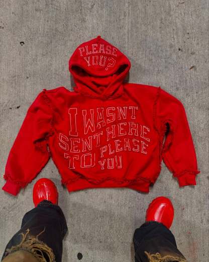 Was't here to please you hoodie