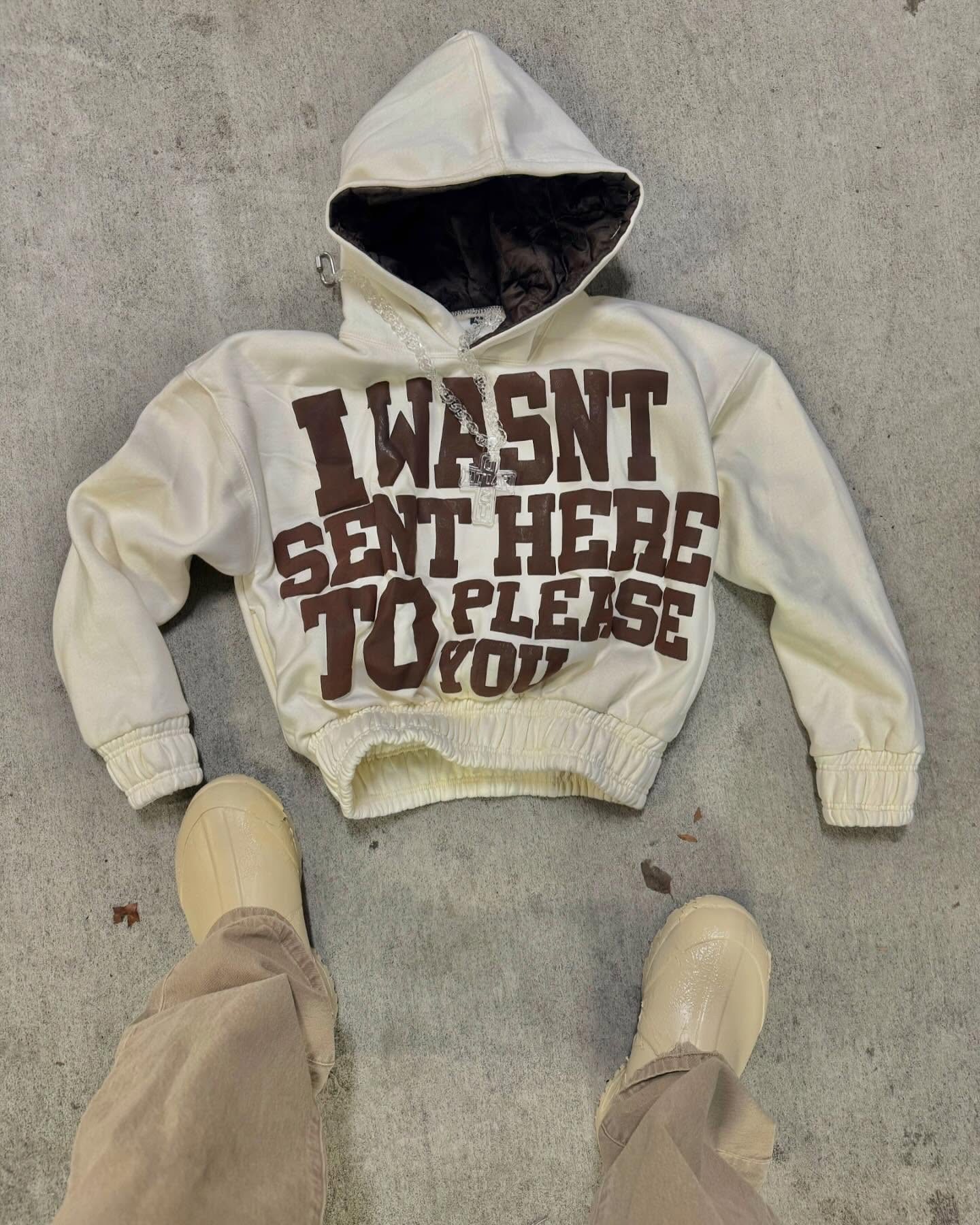 Was't here to please you hoodie