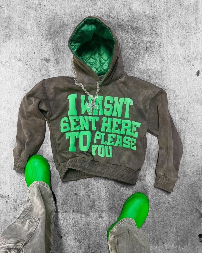Was't here to please you hoodie