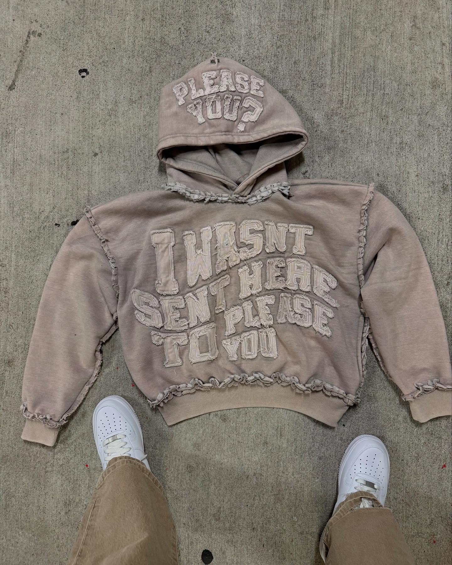 Was't here to please you hoodie