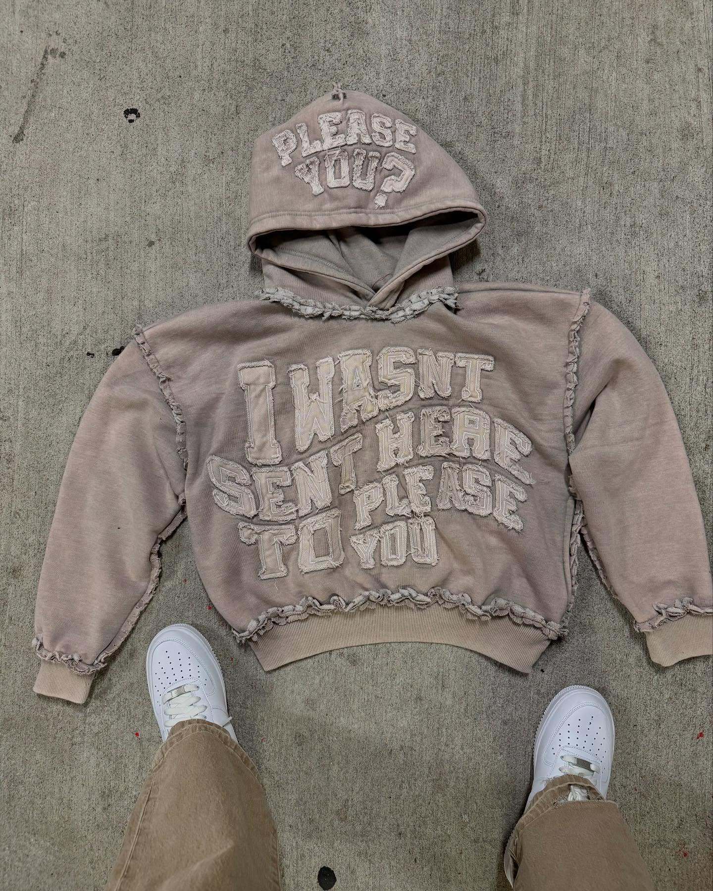 Was't here to please you hoodie