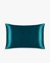 Dark Teal