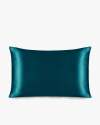 Dark Teal