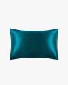 Dark Teal