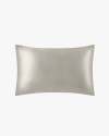 Silver Gray