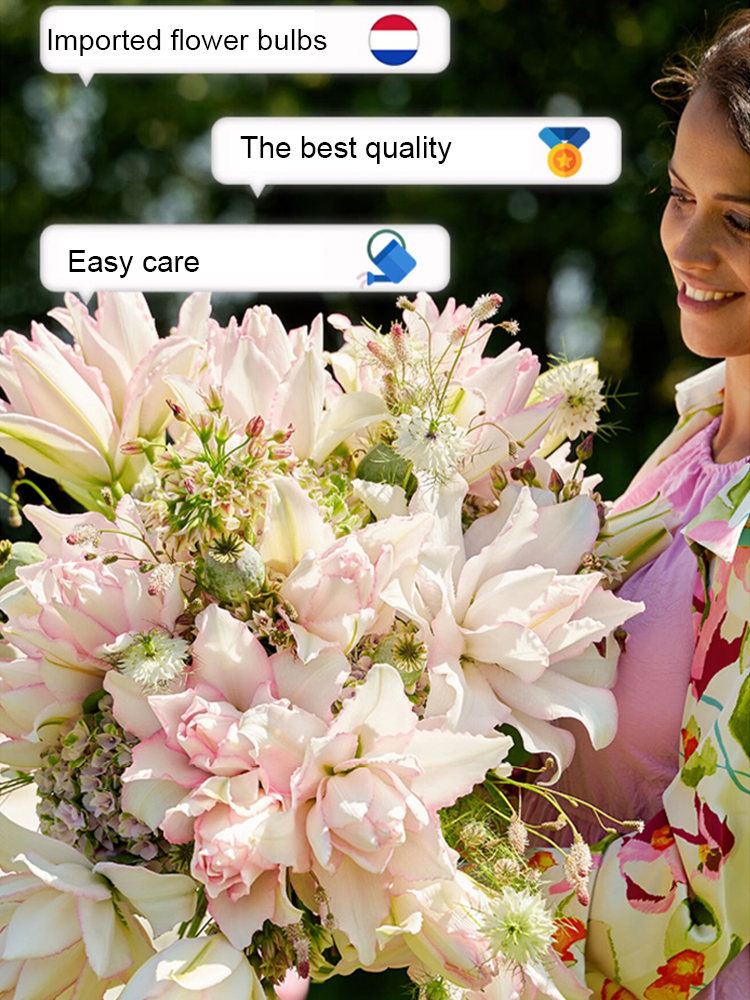 Elegant lilies are easy to grow and take care of. They bloom all year round. Their fragrance is more fragrant than Chanel perfume. They are the best gift for your mother on Mother's Day.