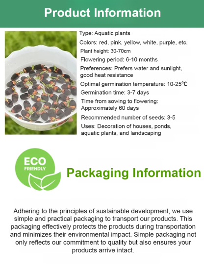 No soil, no fertilizer needed, just water it and it will bloom and smell even better than the finest perfume.