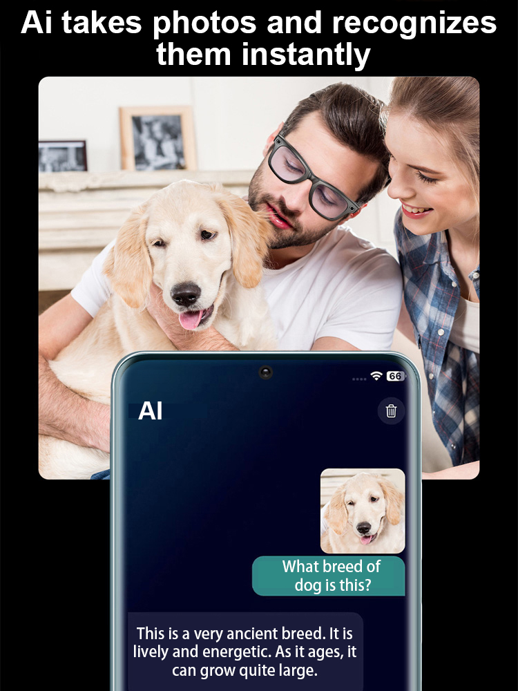 Multi-functional AI Glasses: Photo, Translation, and Music