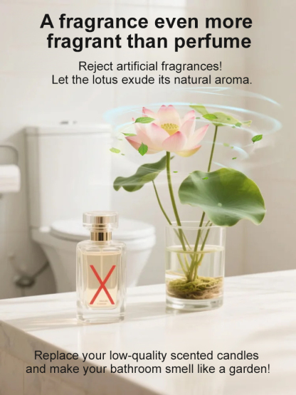 No soil, no fertilizer needed, just water it and it will bloom and smell even better than the finest perfume.