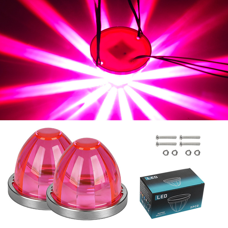 LED Watermelon Lights